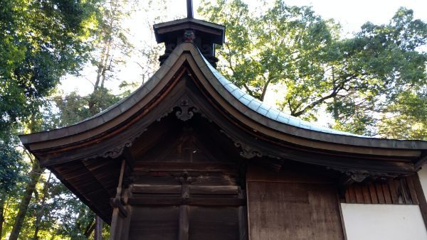 f:id:hineriman:20210313052746j:plain