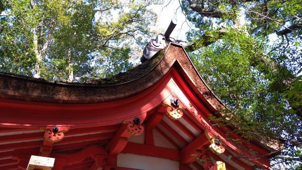 名古屋市】熱田神宮 - 甲信寺社宝鑑