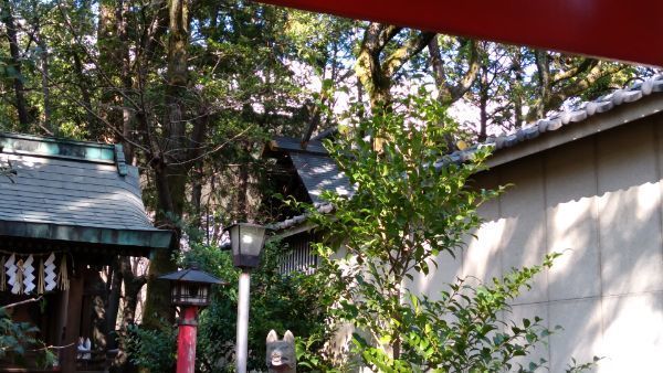 f:id:hineriman:20210401120826j:plain