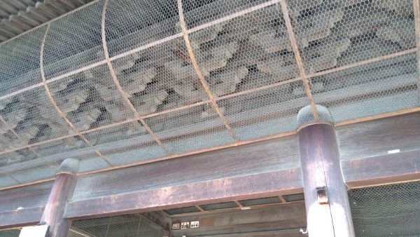 f:id:hineriman:20210401122525j:plain