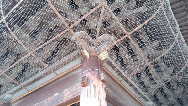 f:id:hineriman:20210401122542j:plain