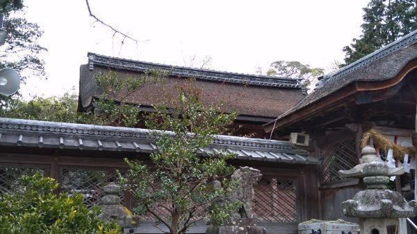 f:id:hineriman:20210403142828j:plain