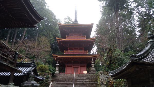 f:id:hineriman:20210523114828j:plain