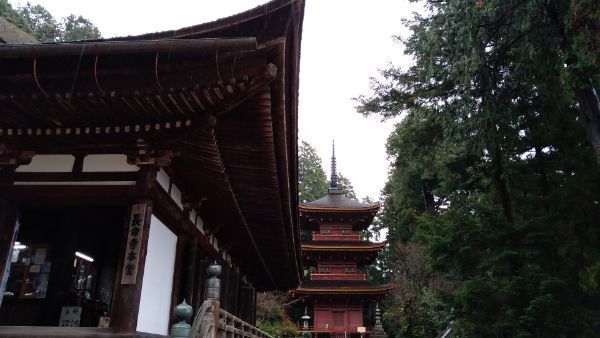 f:id:hineriman:20210523115102j:plain