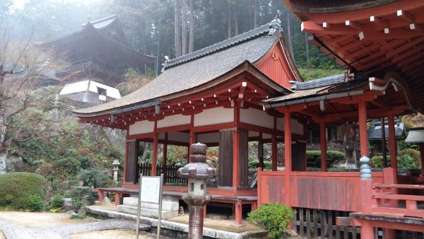 f:id:hineriman:20210523115838j:plain