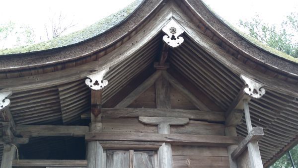 f:id:hineriman:20210606155739j:plain