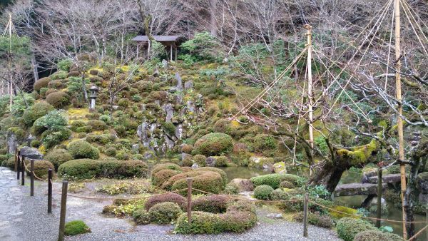 f:id:hineriman:20210606161739j:plain