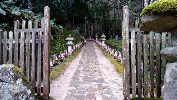 f:id:hineriman:20210606161939j:plain