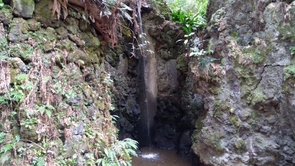 f:id:hineriman:20210606172600j:plain