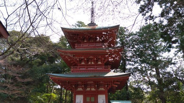 f:id:hineriman:20210606173117j:plain