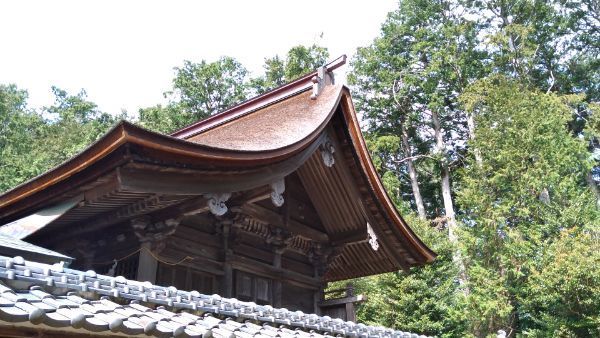 f:id:hineriman:20210606180042j:plain