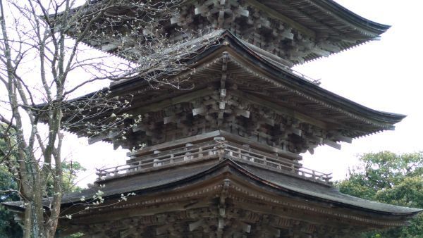 f:id:hineriman:20210703134130j:plain