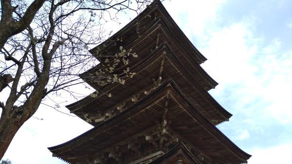 f:id:hineriman:20210703134347j:plain