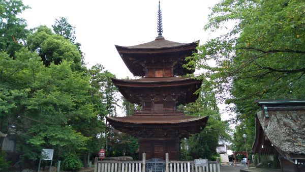 f:id:hineriman:20210807112832j:plain