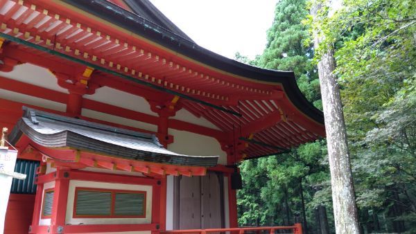 f:id:hineriman:20210904090329j:plain