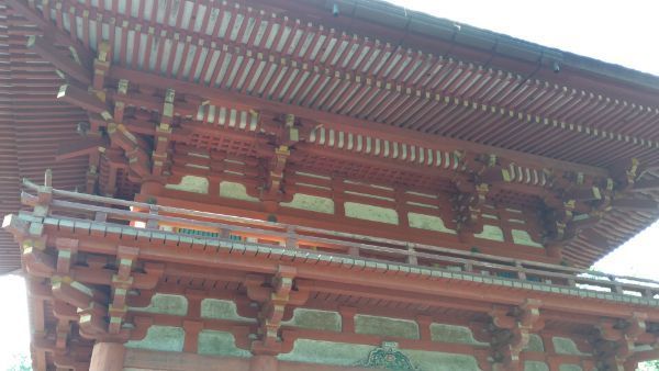 f:id:hineriman:20210923145305j:plain