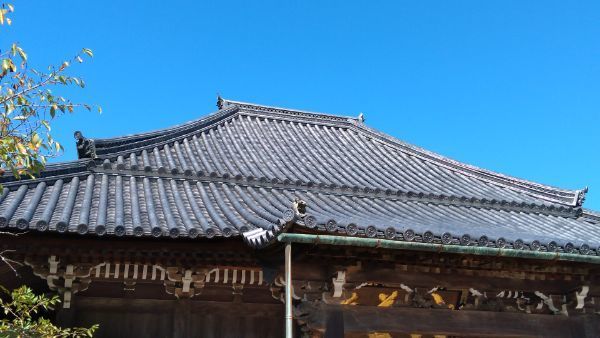 f:id:hineriman:20210923152811j:plain