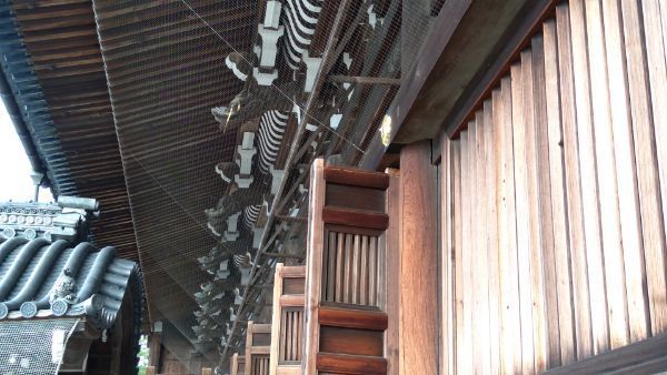 f:id:hineriman:20211002144226j:plain