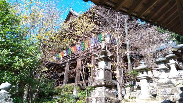 f:id:hineriman:20211027121543j:plain