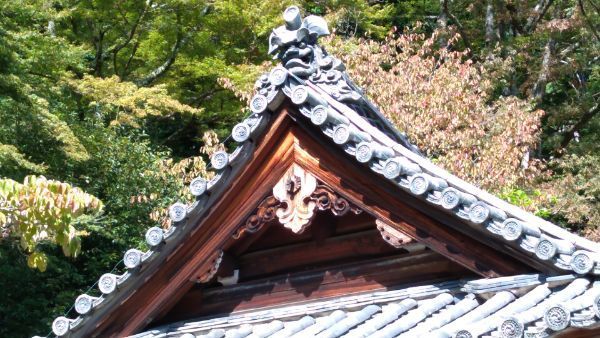 f:id:hineriman:20211027123535j:plain