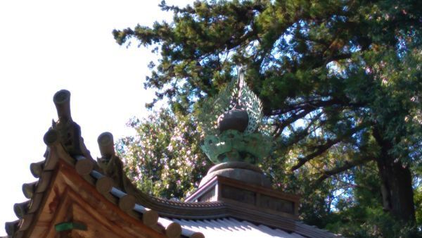 f:id:hineriman:20211027123915j:plain