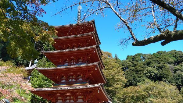 f:id:hineriman:20211027124034j:plain