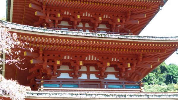 f:id:hineriman:20211027124203j:plain