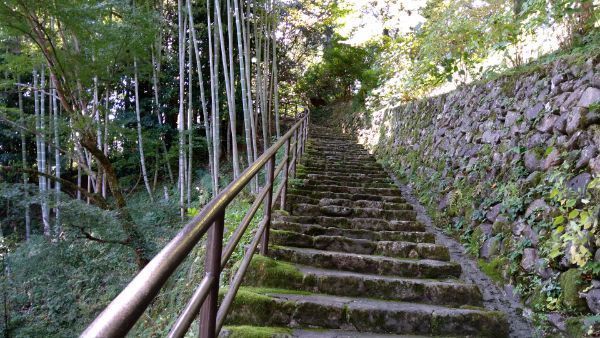 f:id:hineriman:20211027124406j:plain