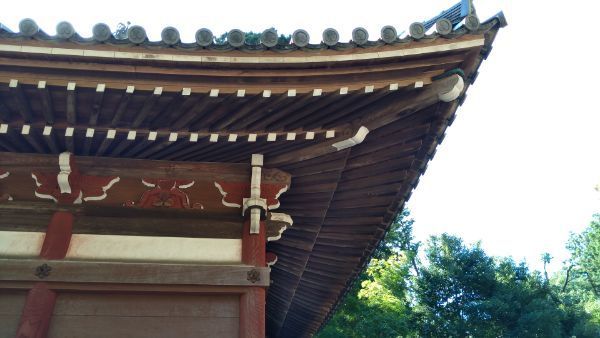 f:id:hineriman:20211027124638j:plain