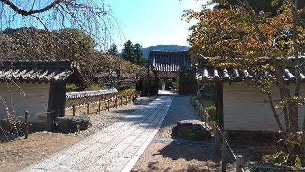 f:id:hineriman:20211027124751j:plain