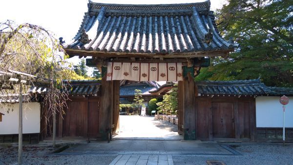 f:id:hineriman:20211027124800j:plain