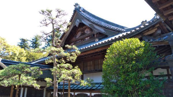 f:id:hineriman:20211027125106j:plain