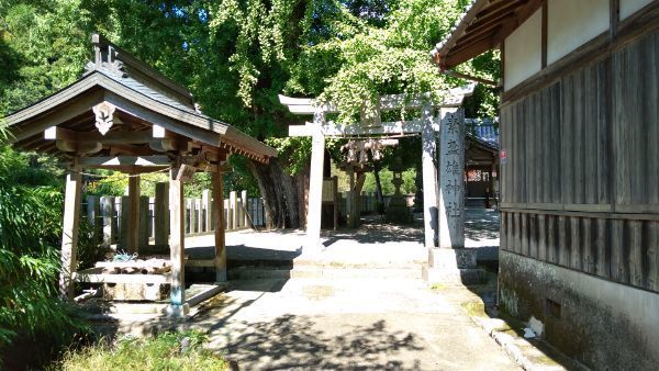 f:id:hineriman:20211027130859j:plain