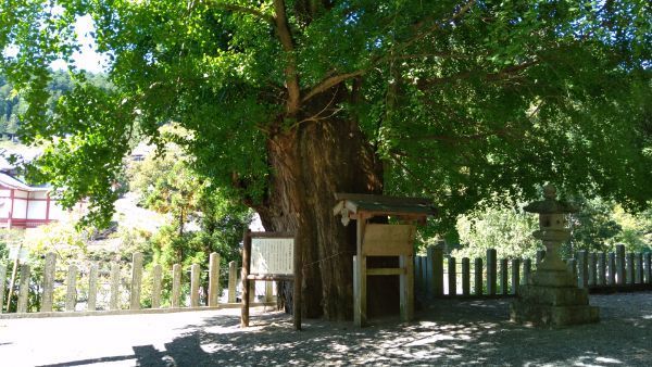 f:id:hineriman:20211027131007j:plain