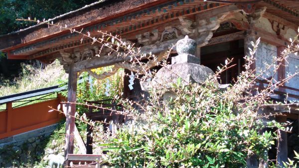 f:id:hineriman:20211030090049j:plain