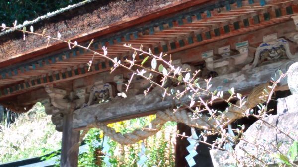 f:id:hineriman:20211030090101j:plain