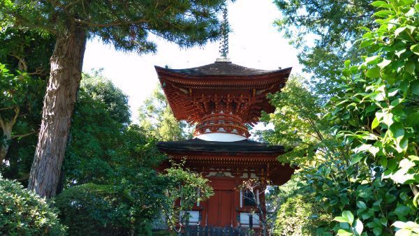 f:id:hineriman:20211204051258j:plain