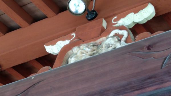 f:id:hineriman:20211204051759j:plain