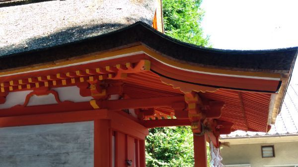 f:id:hineriman:20211204114039j:plain