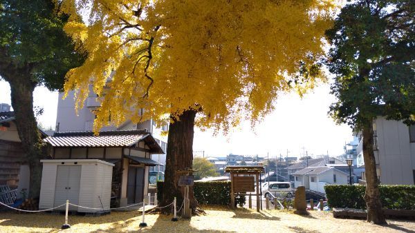 f:id:hineriman:20211220120135j:plain