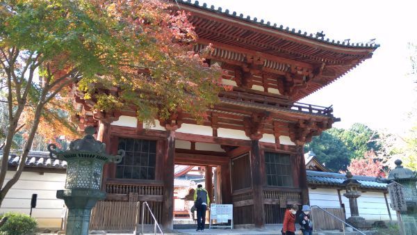 f:id:hineriman:20211226103646j:plain