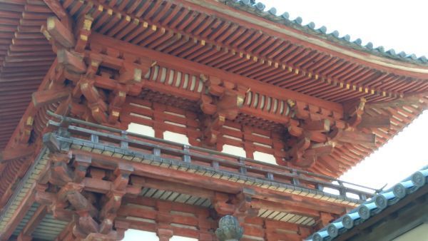 f:id:hineriman:20211226104518j:plain