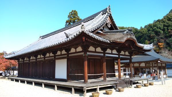 f:id:hineriman:20211226104728j:plain