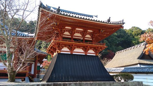 f:id:hineriman:20211226115114j:plain