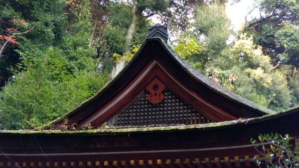 f:id:hineriman:20220103100924j:plain