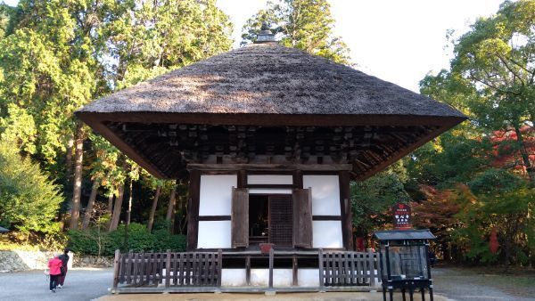 f:id:hineriman:20220103105430j:plain