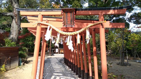 f:id:hineriman:20220115133754j:plain