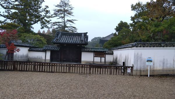 f:id:hineriman:20220211123441j:plain