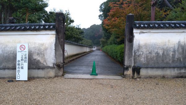 f:id:hineriman:20220211123506j:plain