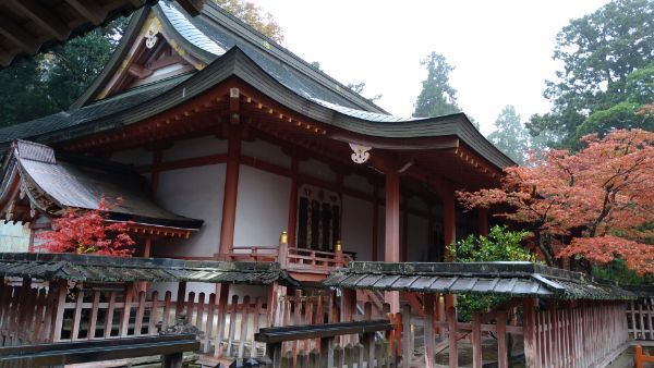 f:id:hineriman:20220227055941j:plain